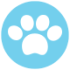 Animals & Pets